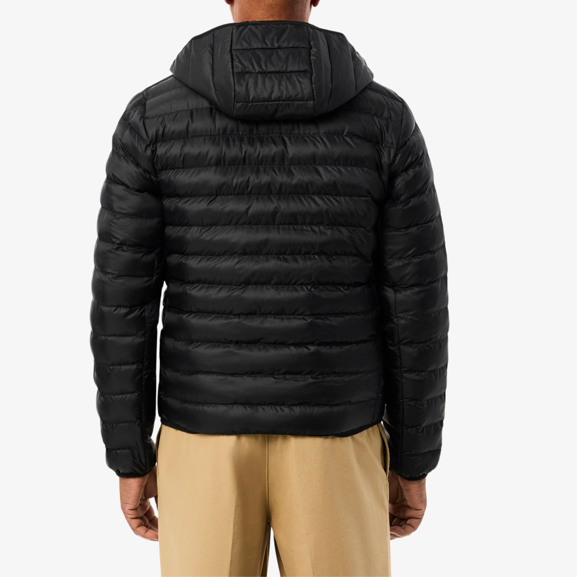Thermore® Hooded Puffer Jacket (Limited Stock)